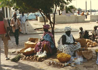 Senegal 06
