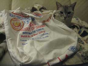 Recycled Grocery Bag