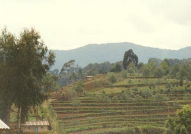 Rwanda 04