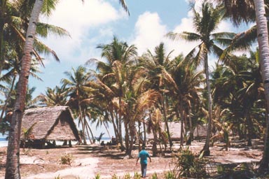 Micronesia 07