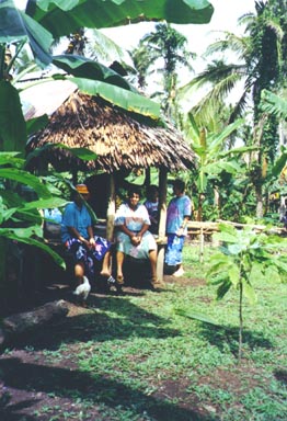 Western Samoa 04