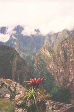 Peru 09